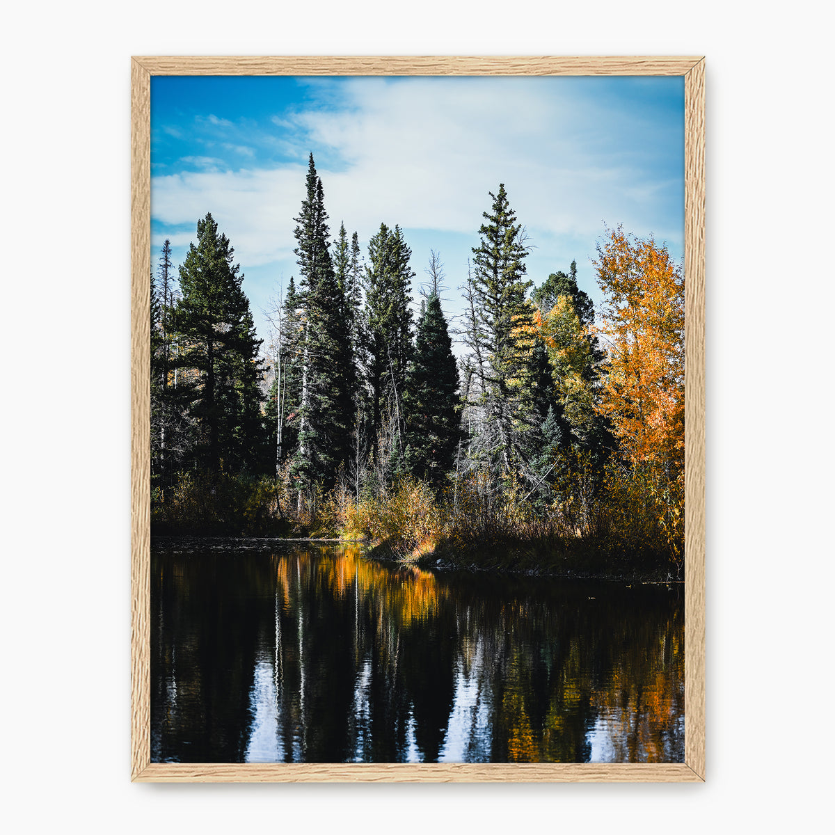 Serene Fall Photography - Sage and Rose Prints