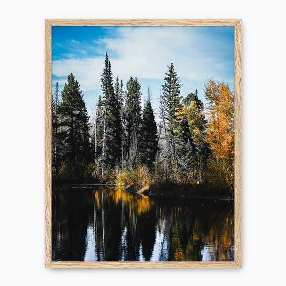 Serene Fall Photography - Sage and Rose Prints
