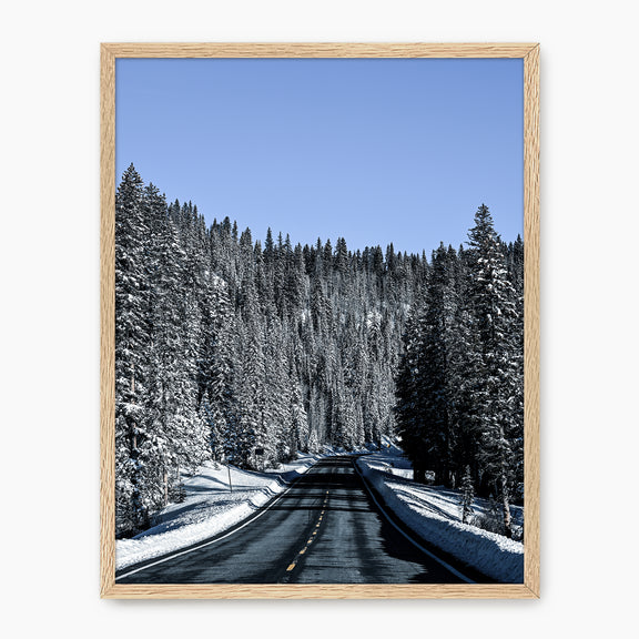 Winter Landscape Photography - Sage and Rose Prints