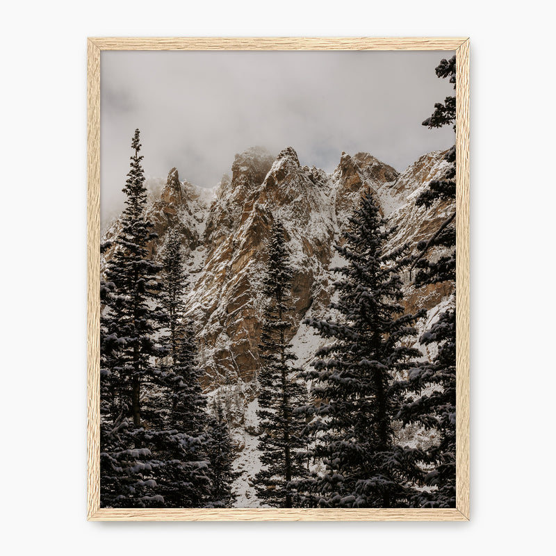 Rockies Photo - Sage and Rose Prints