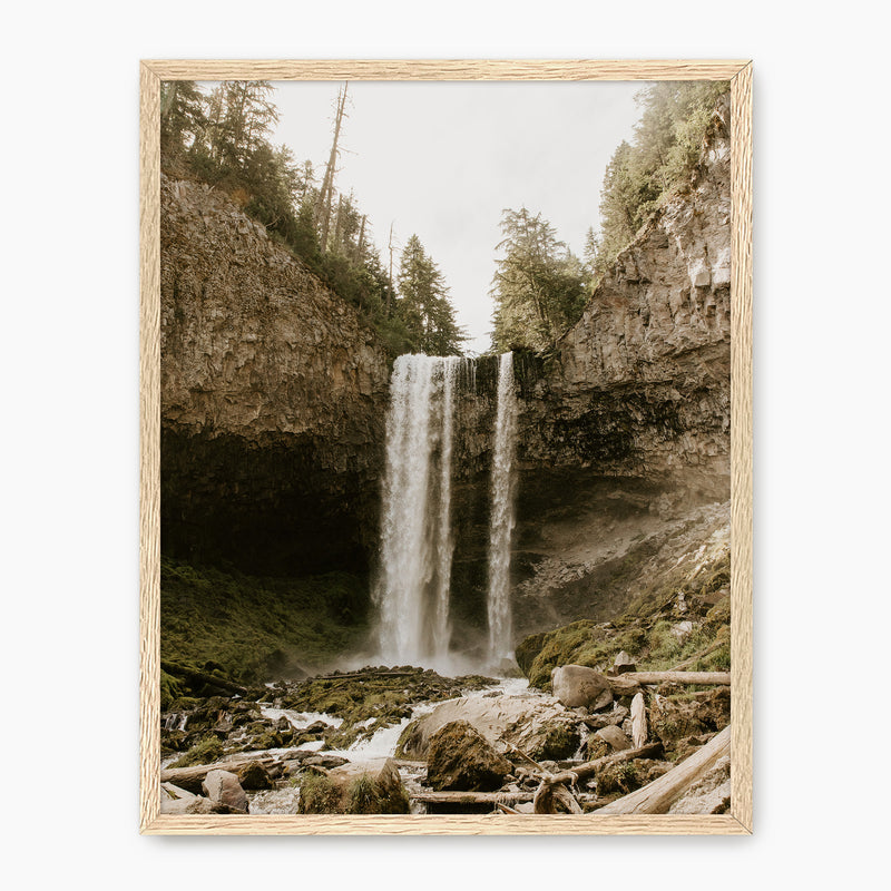 Falling - Sage and Rose Prints