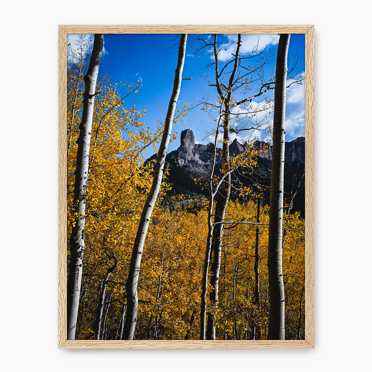 Fall Mountain Photograph - Sage and Rose Prints