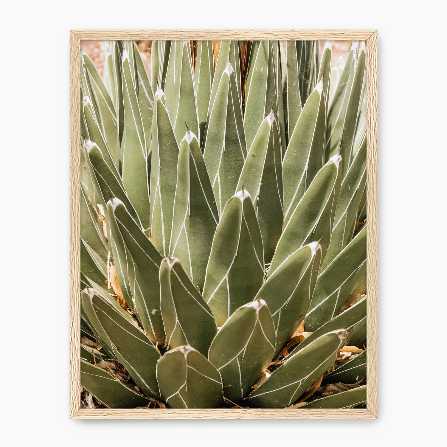 Nature's Armor - Sage and Rose Prints
