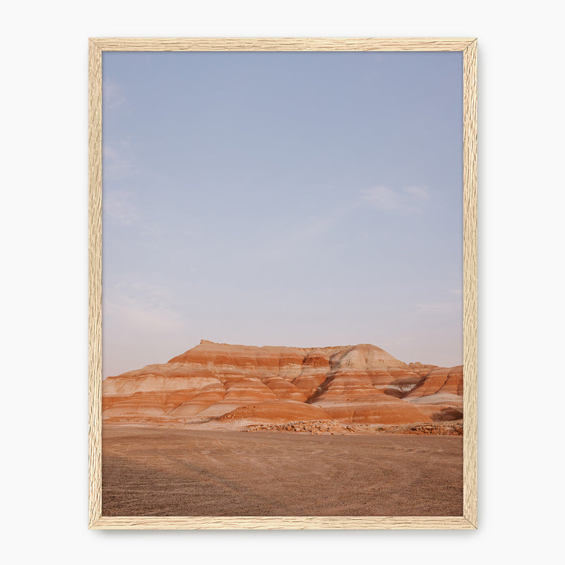 Desert Views - Sage and Rose Prints