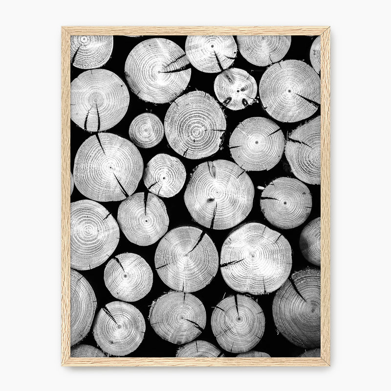 Black and White Cut Logs Photo - Sage and Rose Prints
