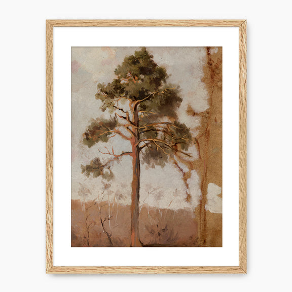 Tree in the Evening Sunlight - Sage and Rose Prints