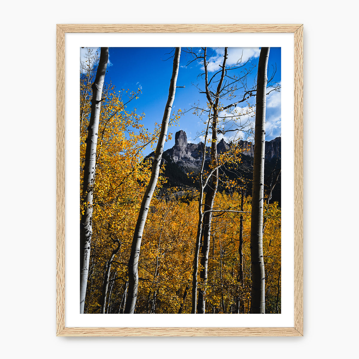 Fall Mountain Photograph - Sage and Rose Prints