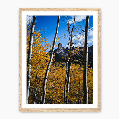 Fall Mountain Photograph - Sage and Rose Prints