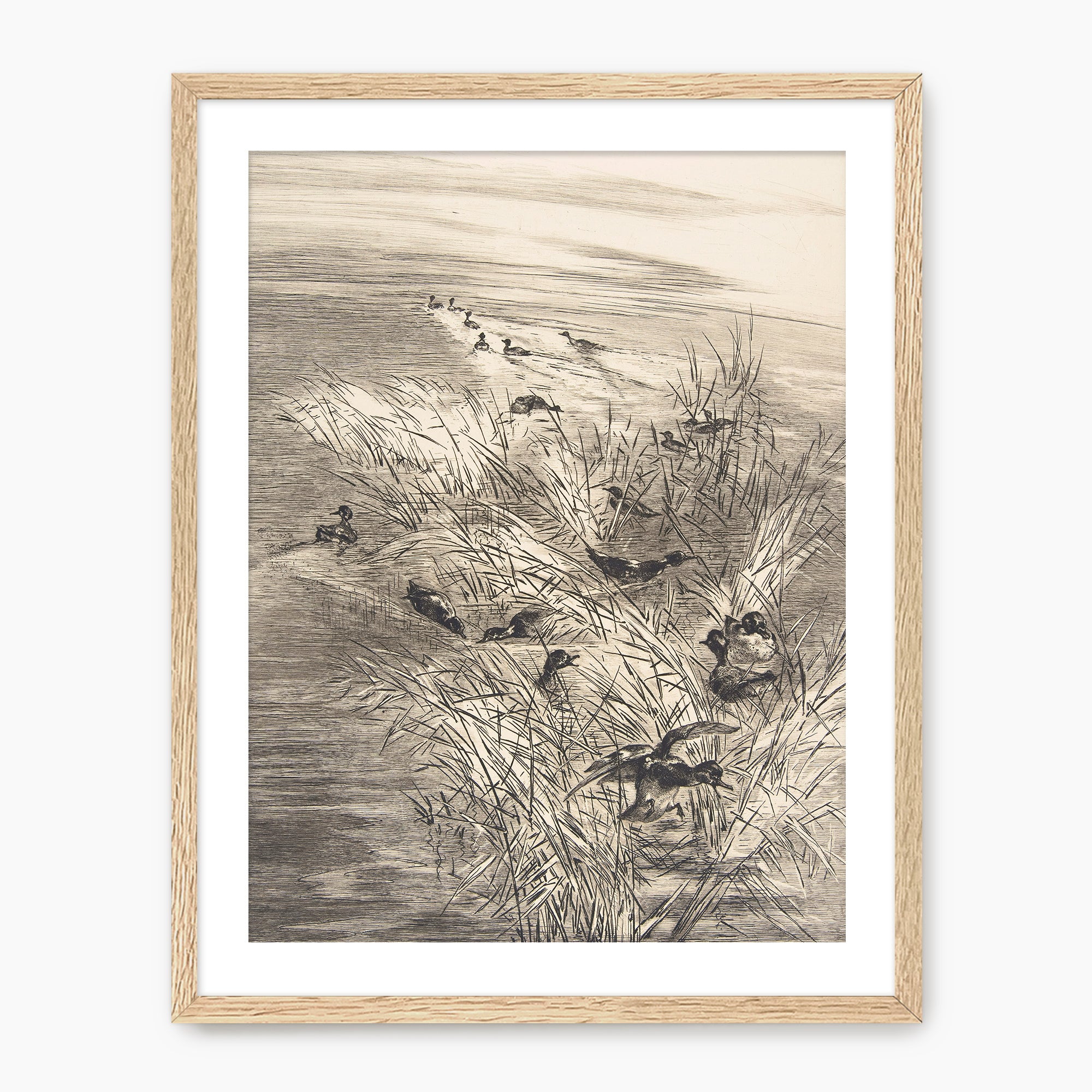 Vintage Ducks in the Grass Sketch C - Sage and Rose Prints