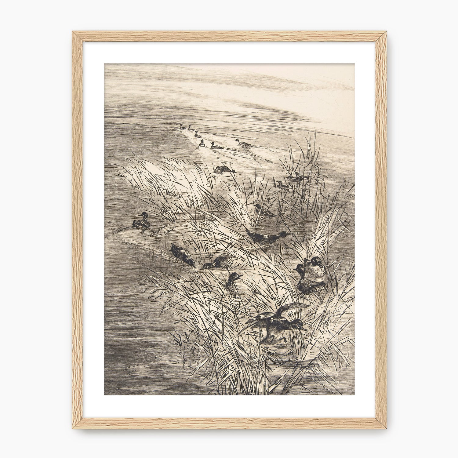 Vintage Ducks in the Grass Sketch C - Sage and Rose Prints