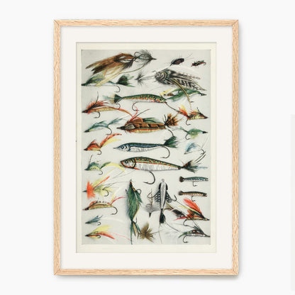 Vintage Fishing Lures Art Print - Sage and Rose Prints