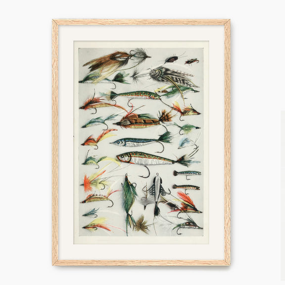 Vintage Fishing Lures Art Print - Sage and Rose Prints