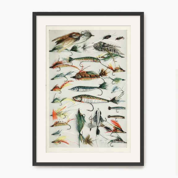 Vintage Fishing Lures Art Print - Sage and Rose Prints