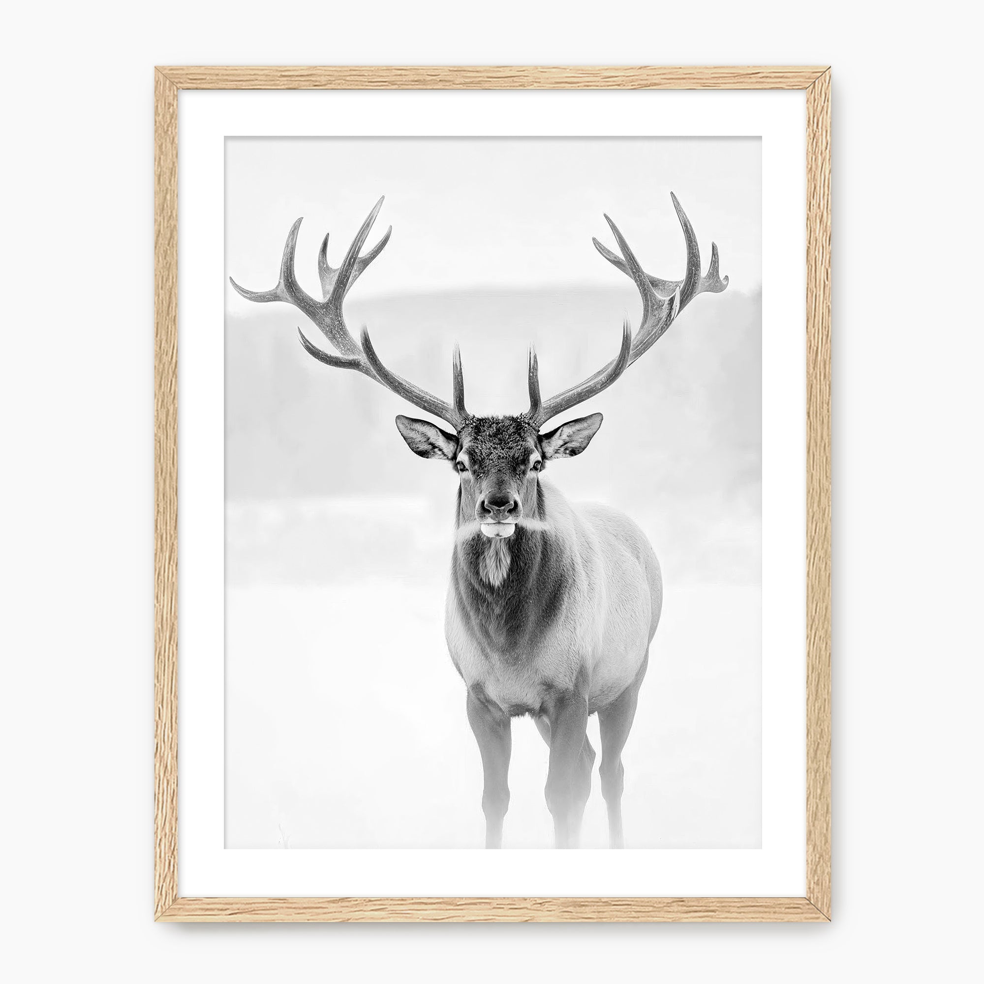 Deer in Winter Black and White Photo - Sage and Rose Prints