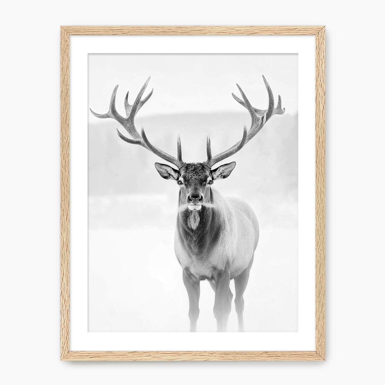 Deer in Winter Black and White Photo - Sage and Rose Prints