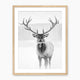 Deer in Winter Black and White Photo - Sage and Rose Prints