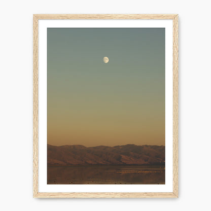 End of the Day - Sage and Rose Prints