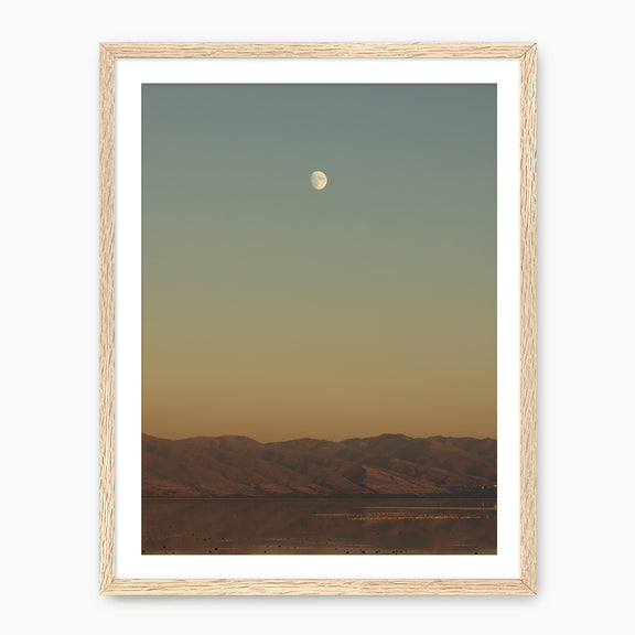 End of the Day - Sage and Rose Prints