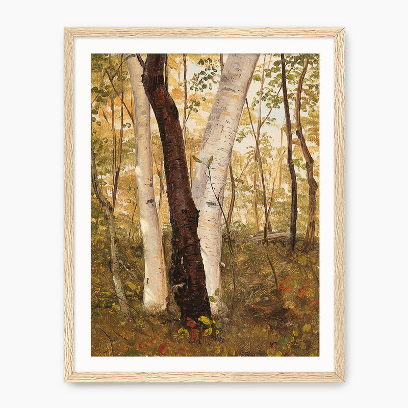 Peaceful Fall Forest - Sage and Rose Prints