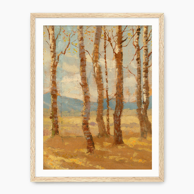 Birches in Autumn Print - Sage and Rose Prints