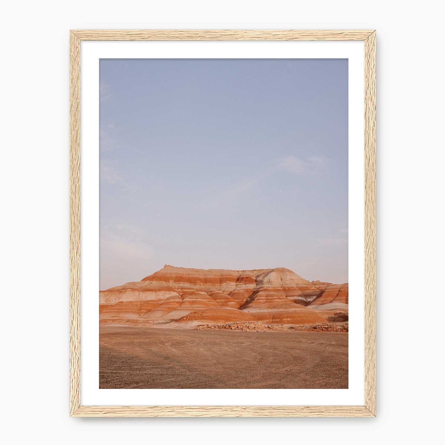 Desert Views - Sage and Rose Prints