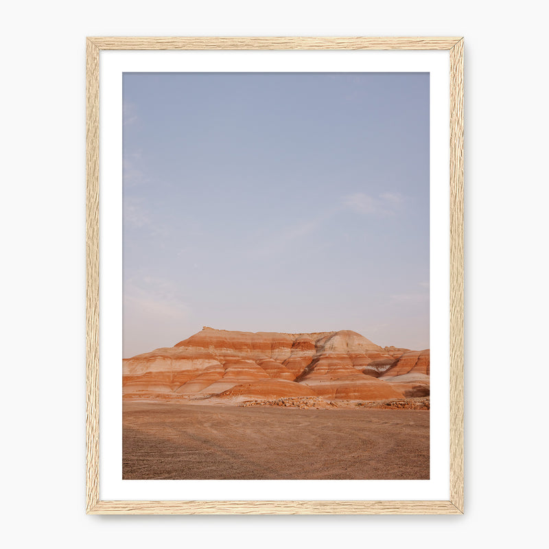 Desert Views - Sage and Rose Prints