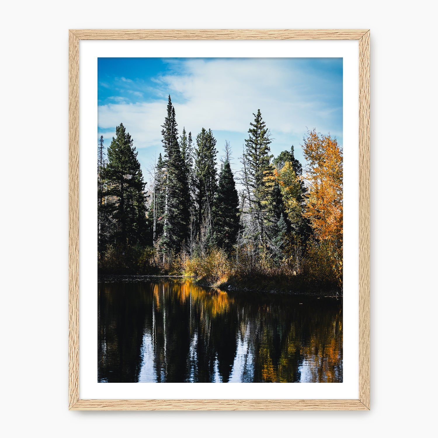 Serene Fall Photography - Sage and Rose Prints
