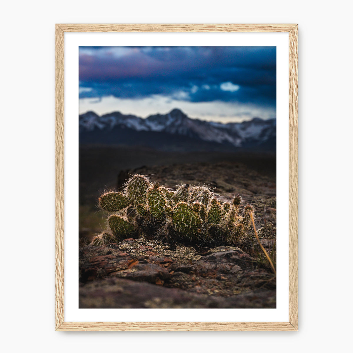 Desert Meets Mountain Photography - Sage and Rose Prints