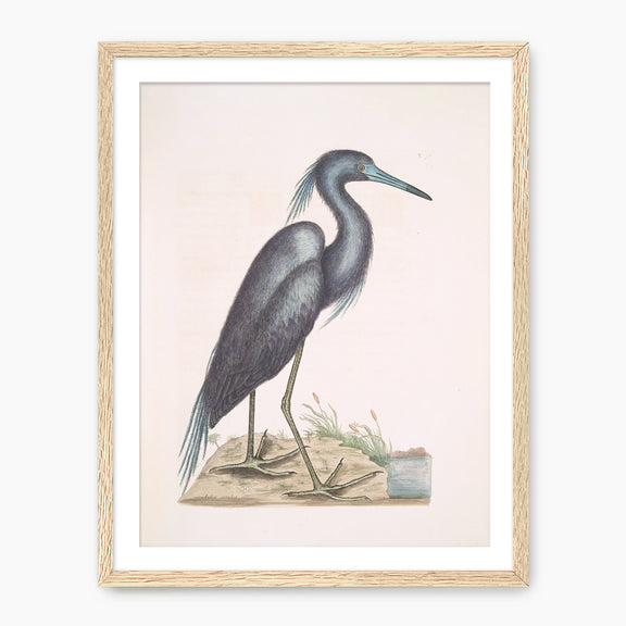 Muted Crane in Shades of Blue and Gray - Sage and Rose Prints