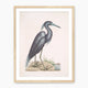 Muted Crane in Shades of Blue and Gray - Sage and Rose Prints
