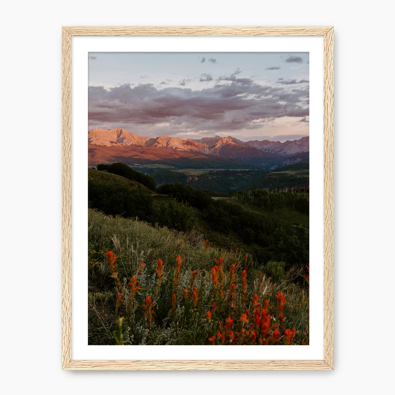 Telluride Mountain Sunset - Sage and Rose Prints