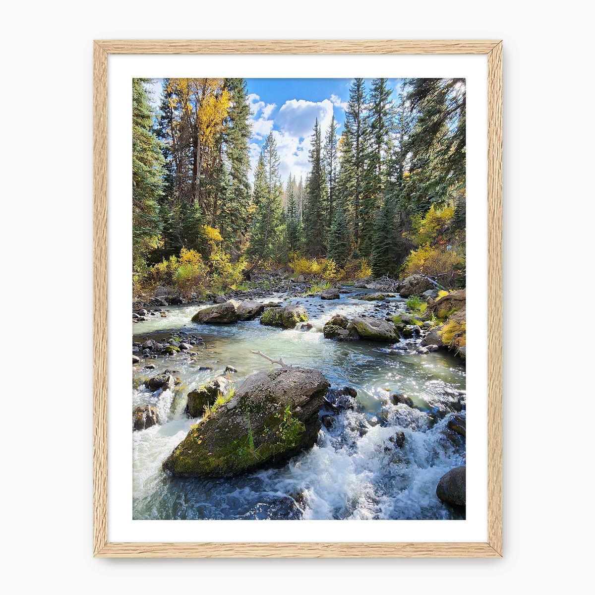 Creek in Fall Photography - Sage and Rose Prints