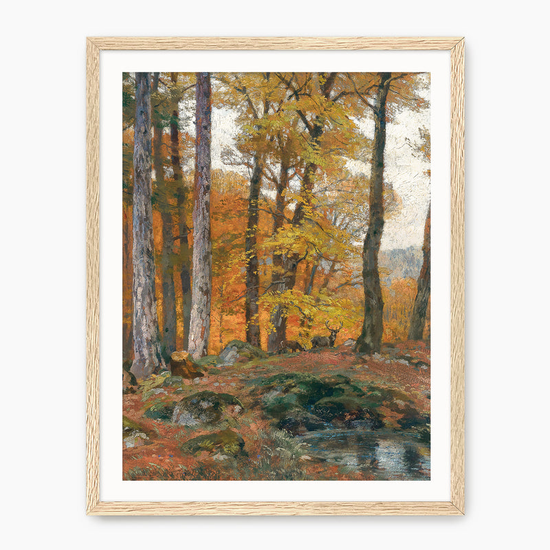 Forest Glade with Dear - Sage and Rose Prints