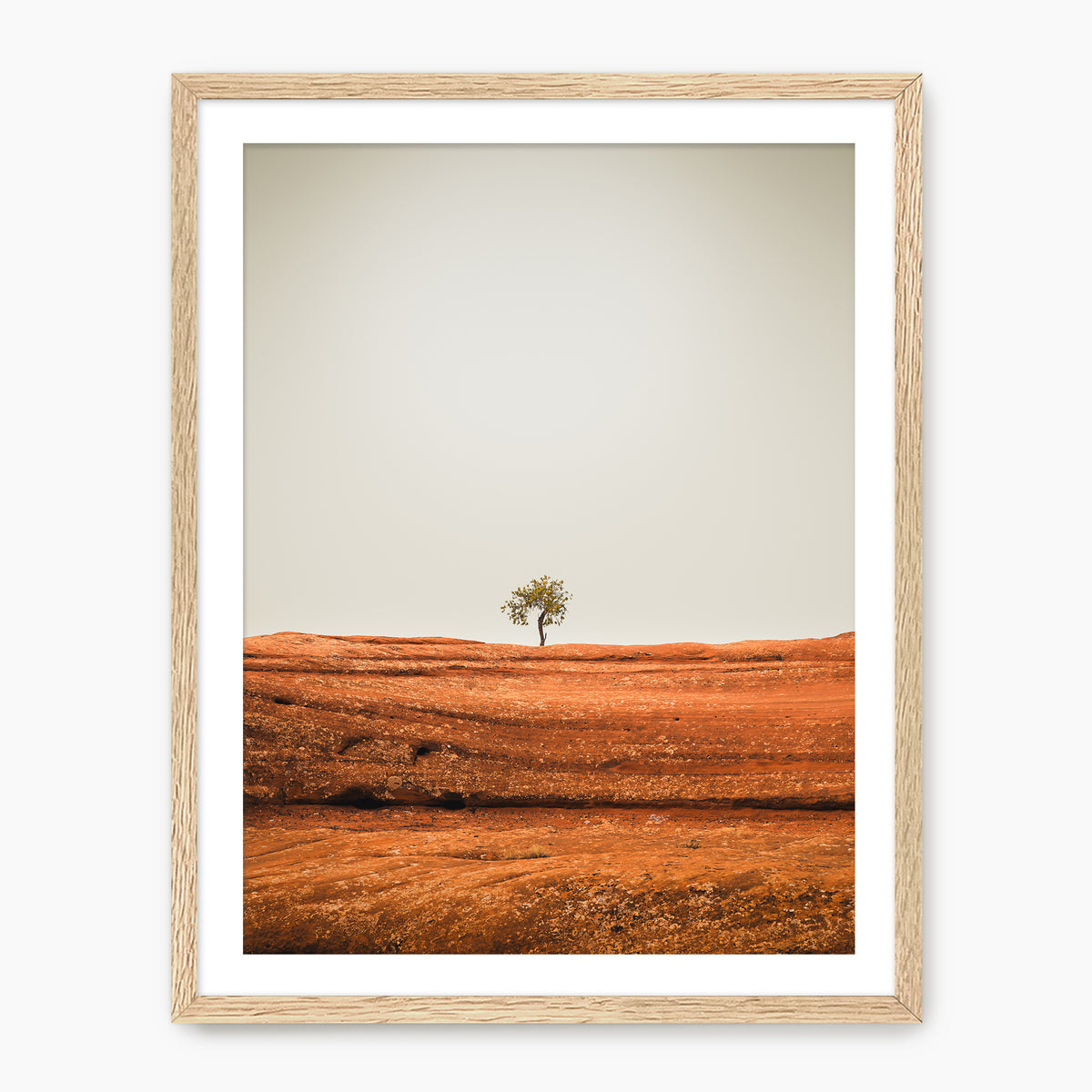 Minimal Tree Photography - Sage and Rose Prints