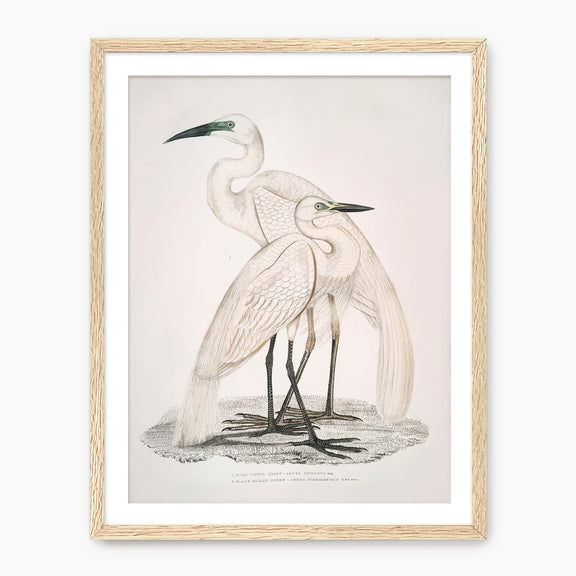 Maximalist Beach Mega Gallery Wall - Sage and Rose Prints