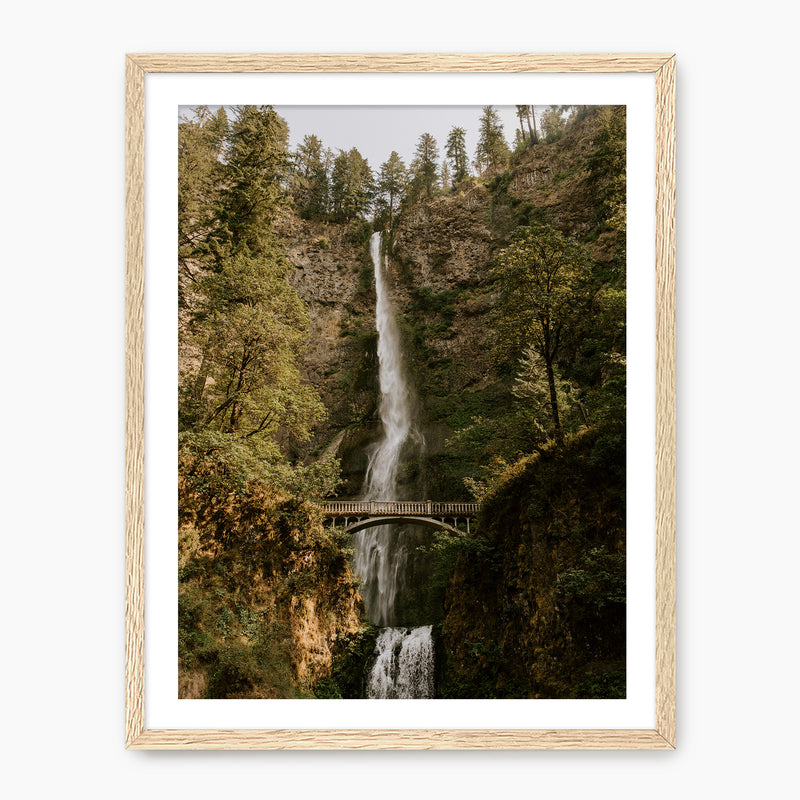 Multnomah Falls - Sage and Rose Prints
