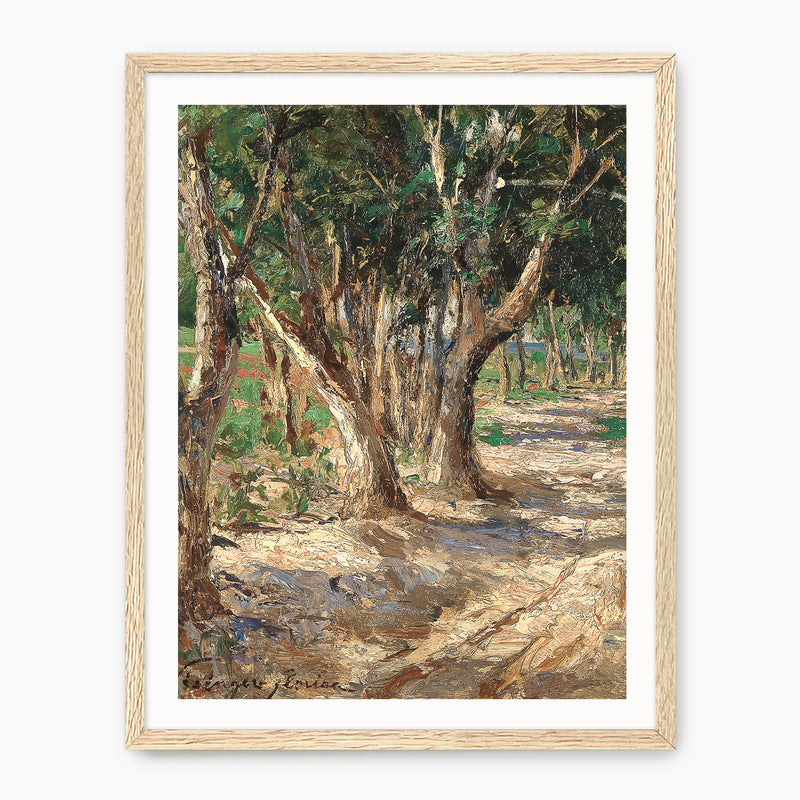 Elm Trees & Country Road - Sage and Rose Prints