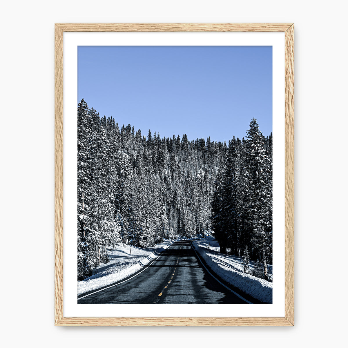 Winter Landscape Photography - Sage and Rose Prints