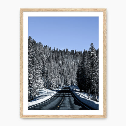 Winter Landscape Photography - Sage and Rose Prints