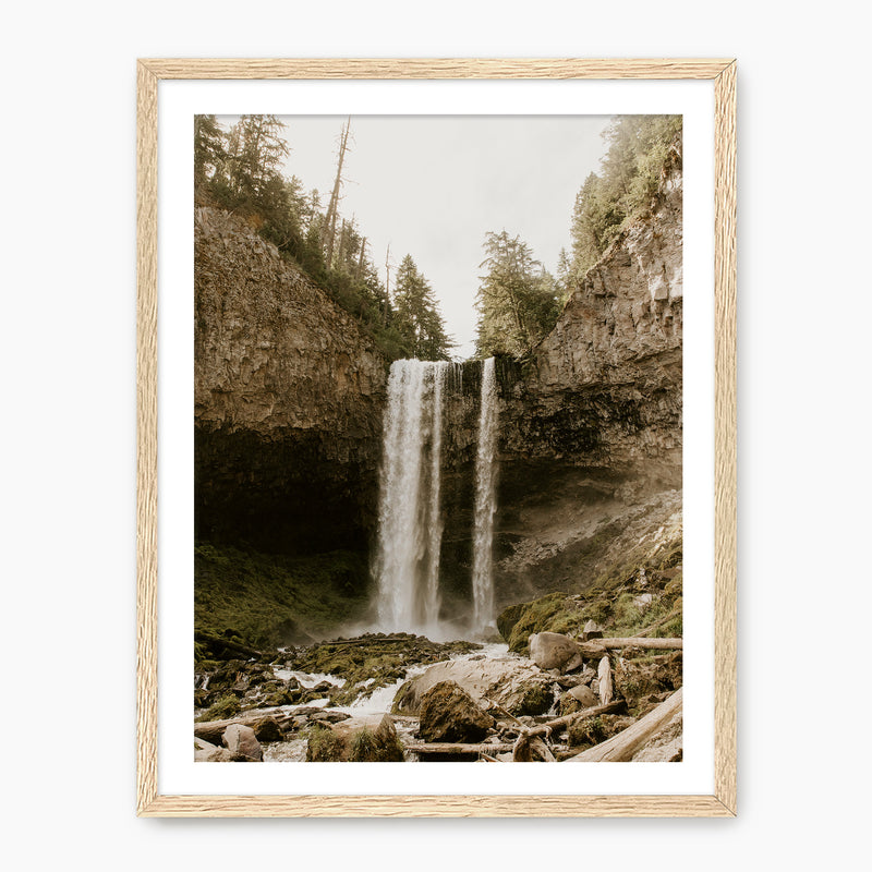 Falling - Sage and Rose Prints