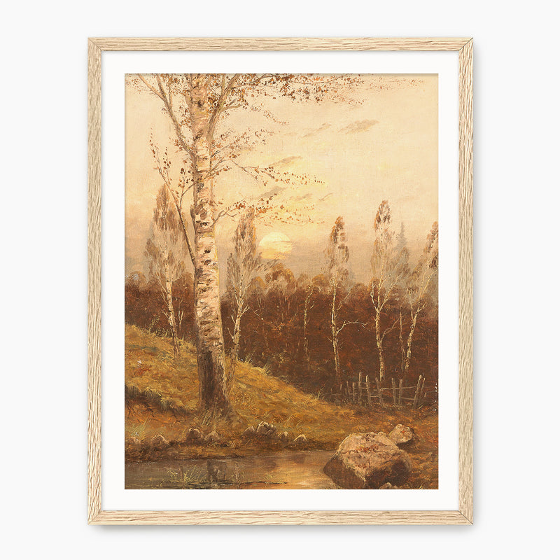 Birch Forest in the Evening Print - Sage and Rose Prints
