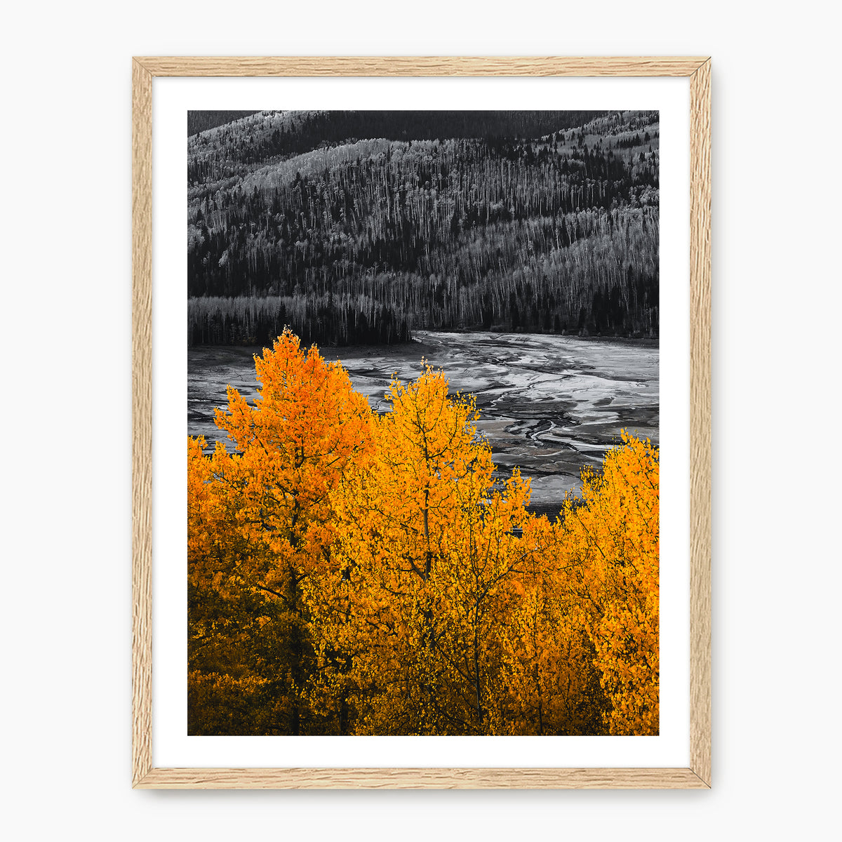 Fall Mountain Colors - Sage and Rose Prints