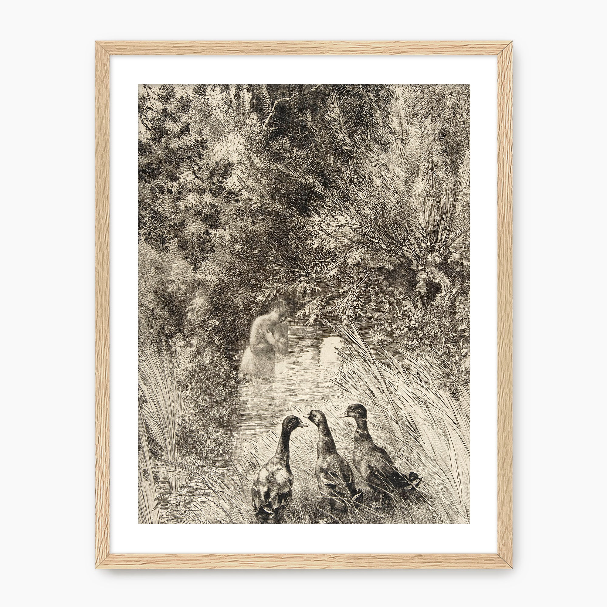 Vintage Trio of Ducks Drawing - Sage and Rose Prints