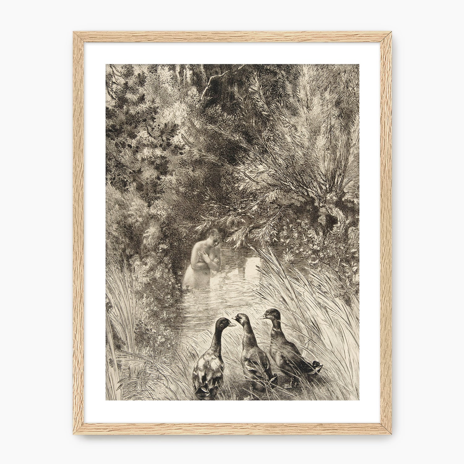 Vintage Trio of Ducks Drawing - Sage and Rose Prints