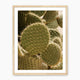 Spiked In the Sunlight - Sage and Rose Prints