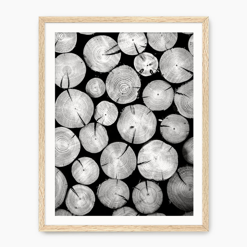 Black and White Cut Logs Photo - Sage and Rose Prints