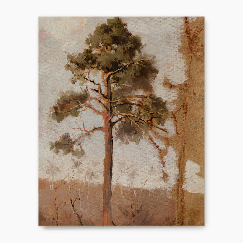 Tree in the Evening Sunlight - Sage and Rose Prints