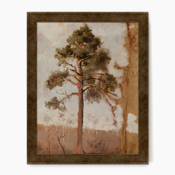 Tree in the Evening Sunlight - Sage and Rose Prints