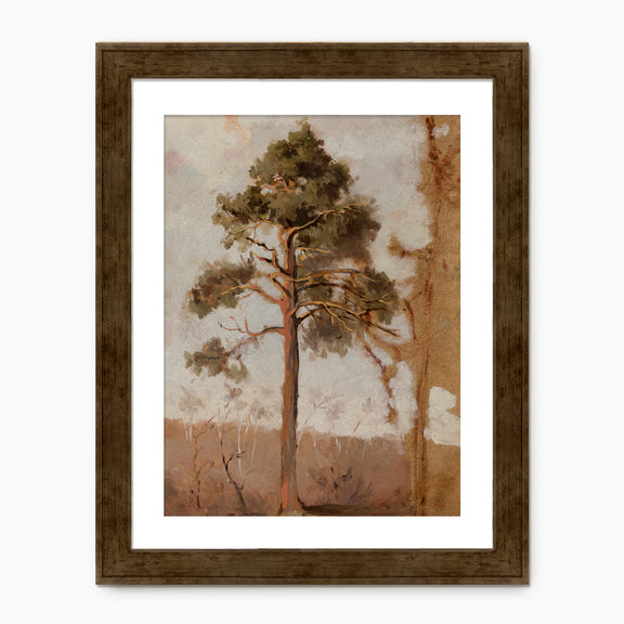 Tree in the Evening Sunlight - Sage and Rose Prints