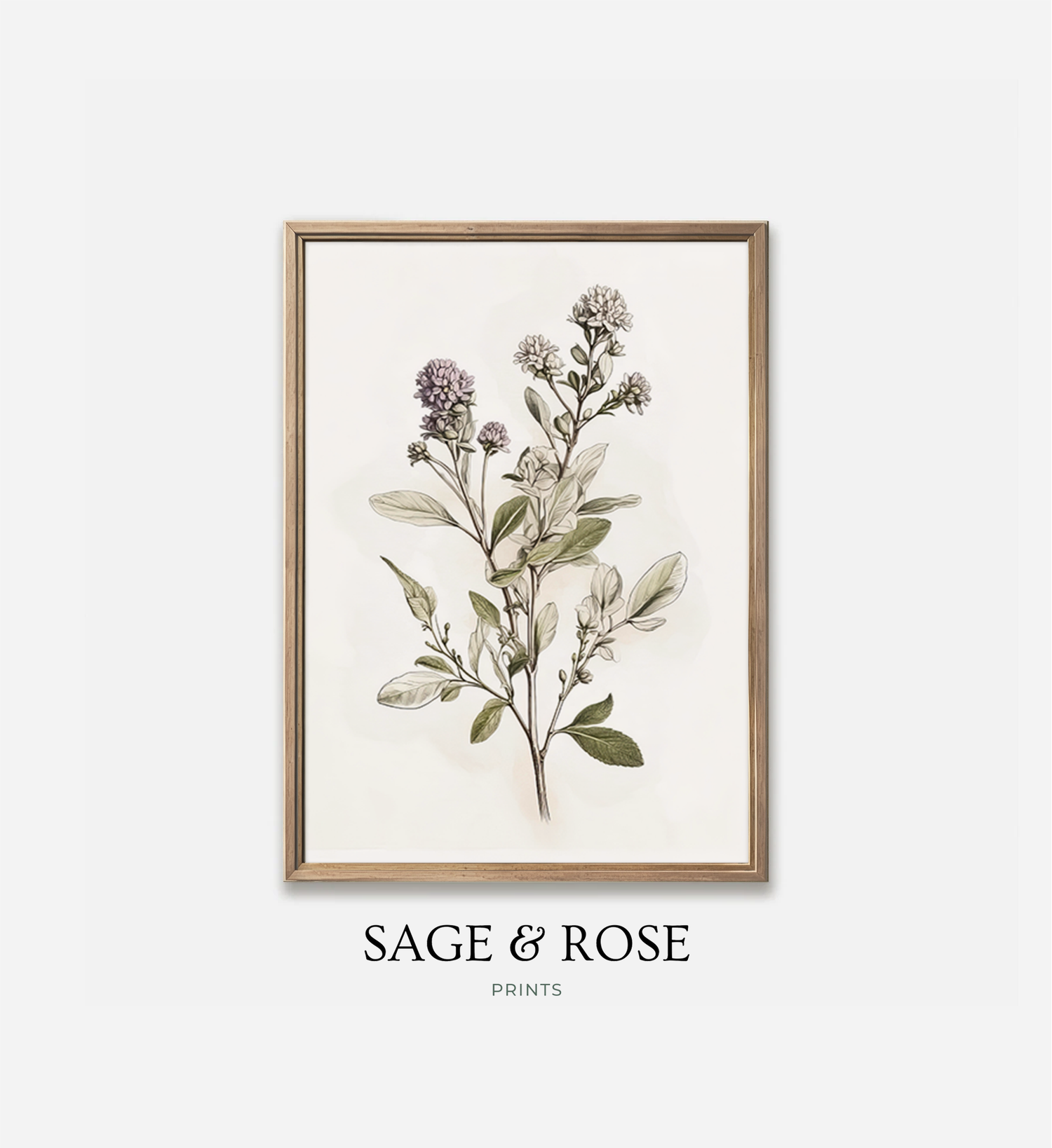 Vintage Botanical Wall Art - Sage and Rose Prints